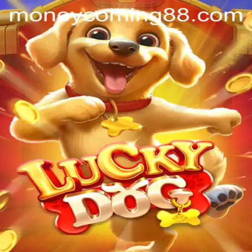 LuckyDog: Embrace Fortune with 'Money Coming'